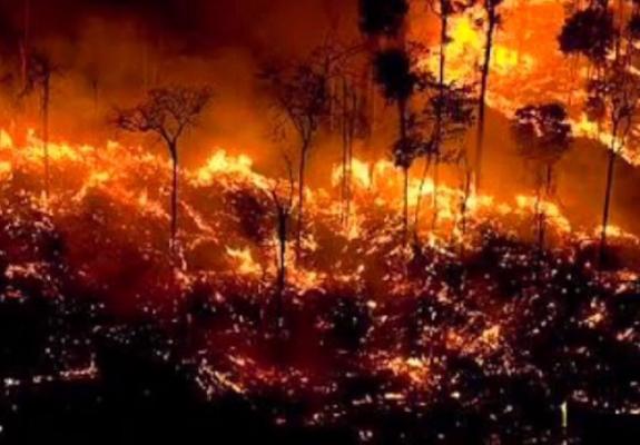 Βραζιλία: Φλέγεται ο Αμαζόνιος- Ρεκόρ πυρκαγιών